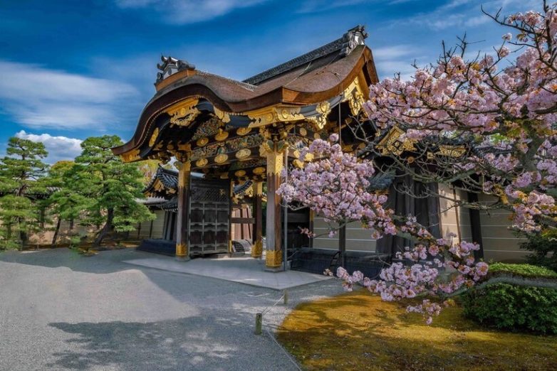 14 чудесных снимков из путешествия по стране контрастов