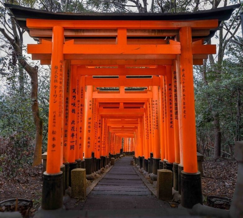 14 чудесных снимков из путешествия по стране контрастов