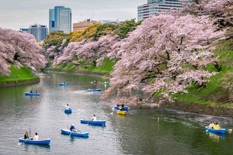 14 чудесных снимков из путешествия по стране контрастов