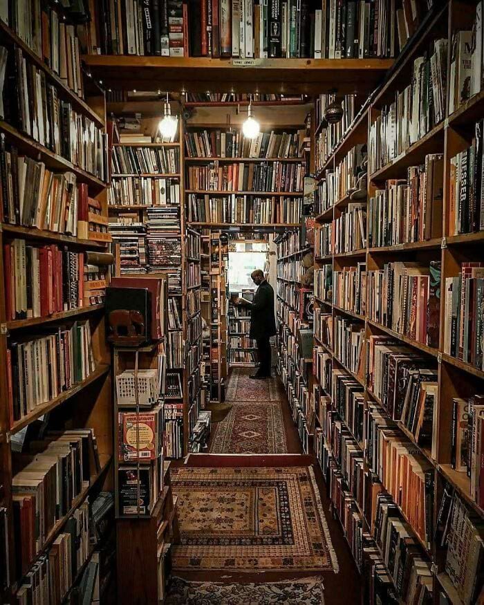 Книжные магазины и библиотеки, которые словно вышли из фильмов о Гарри Поттере