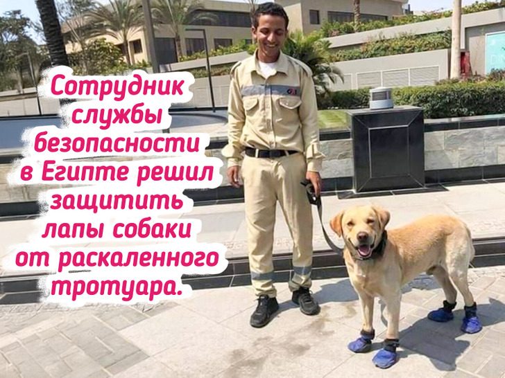 Эти люди привезли целый баул впечатлений от Египта
