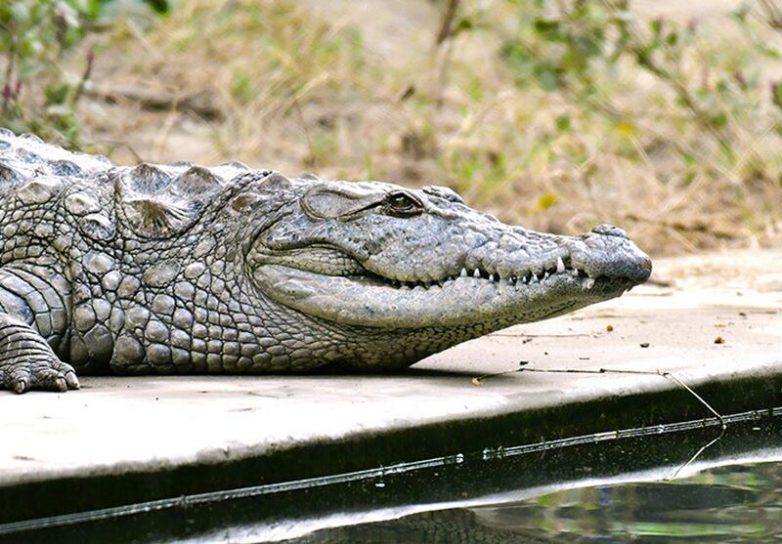 8 самых нелепых выходок туристов
