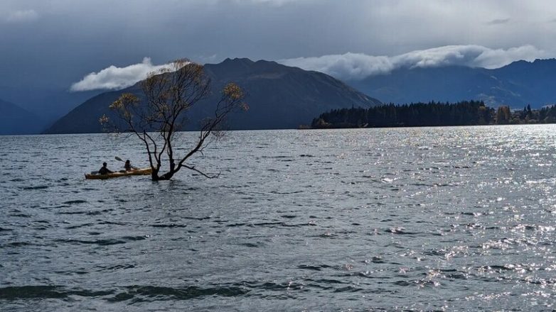 Фотографии самого одинокого дерева планеты