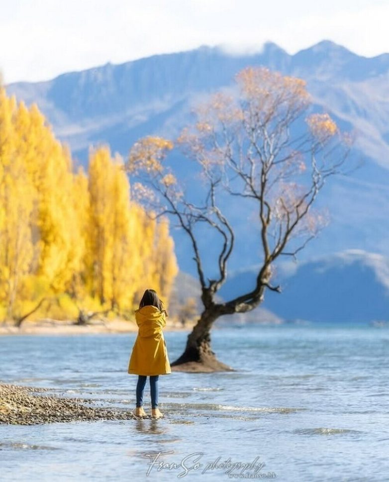 Фотографии самого одинокого дерева планеты