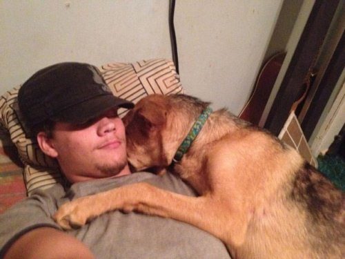 О любви между людьми и собаками