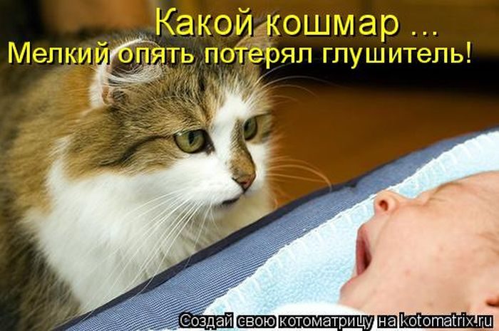 Лучшие котоматрицы недели