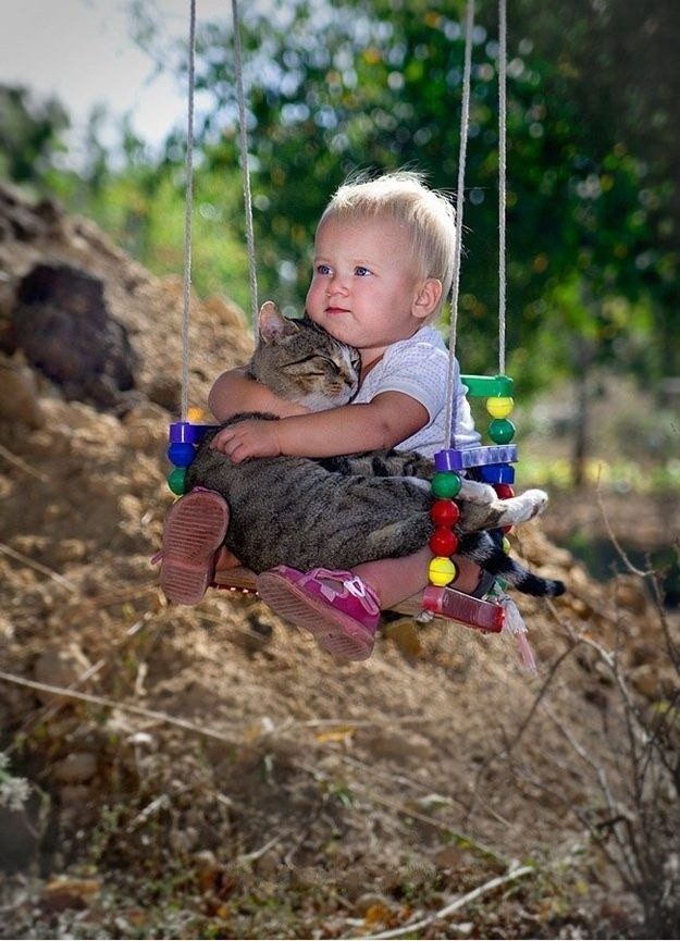 100 самых важных котофотографий всех времен