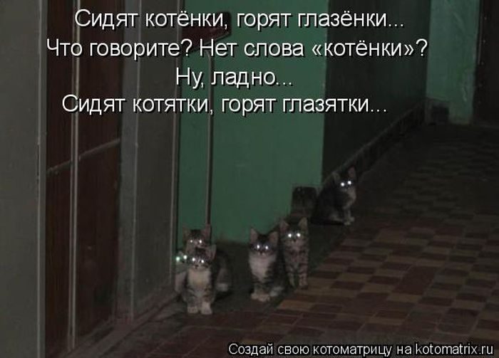 Лучшие котоматрицы недели