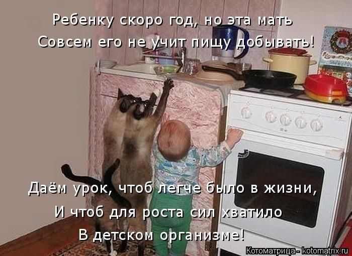 Лучшие котоматрицы недели