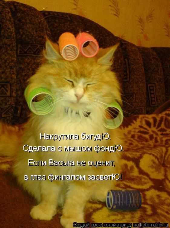 Лучшие котоматрицы недели