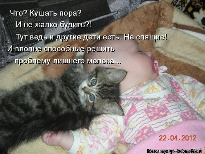 Лучшие котоматрицы недели