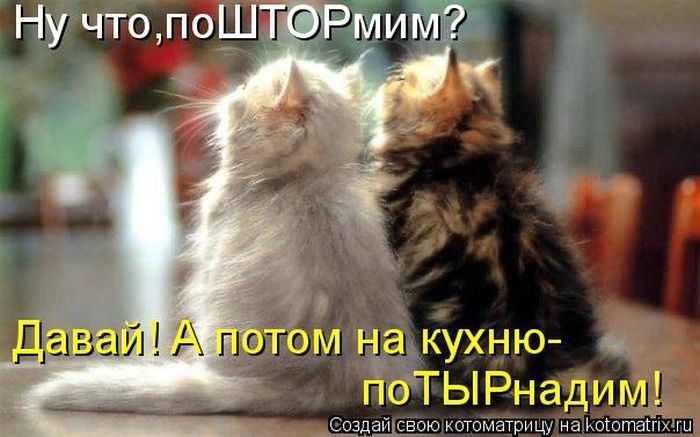 Лучшие котоматрицы недели