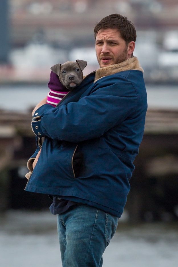 38 невозможно милых фото Тома Харди с собачками