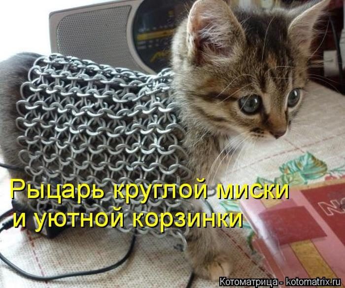 Лучшие котоматрицы недели