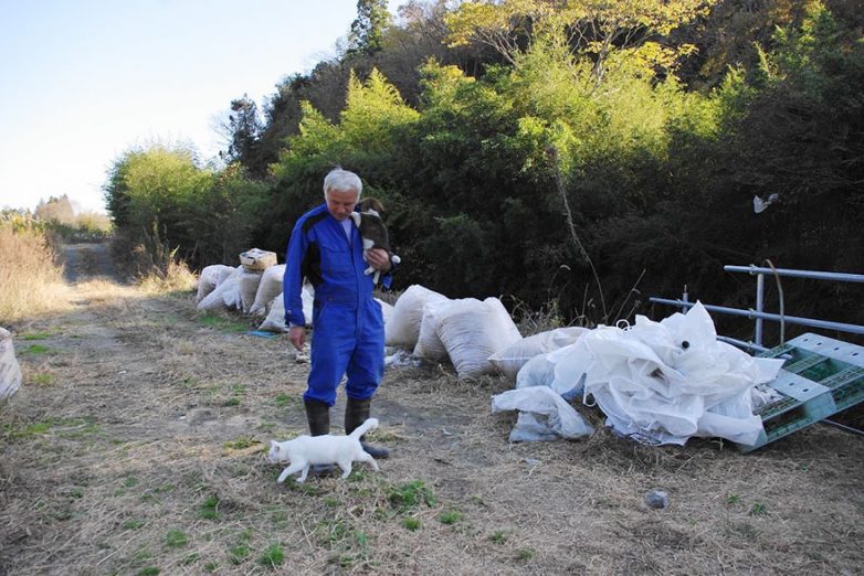 Японец вернулся в зараженную зону Фукусимы, чтобы кормить брошенных там животных