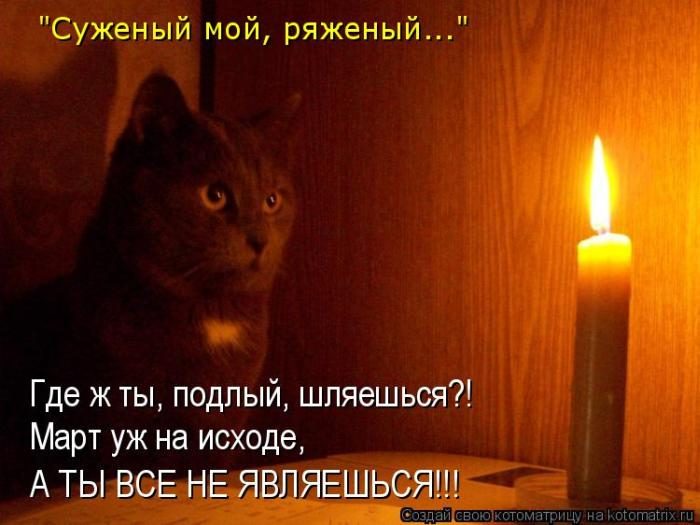 Лучшие котоматрицы недели