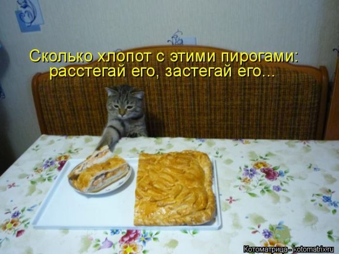 Лучшие котоматрицы недели