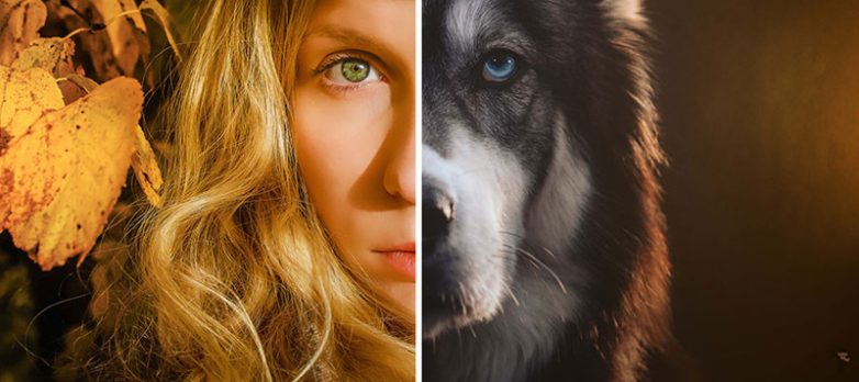 Сказочная история собаки и девушки, которые спасли друг друга