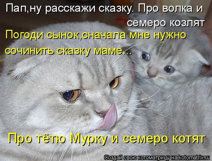 Лучшие котоматрицы прошедшей недели