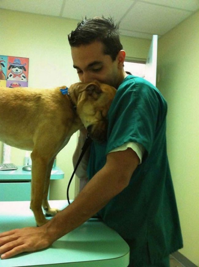 18 доказательств того, что ветеринар — это лучшая профессия