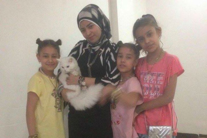 Пропавший кот вернулся в семью иракских беженцев, преодолев полмира