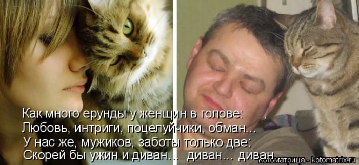 Лучшие котоматрицы недели