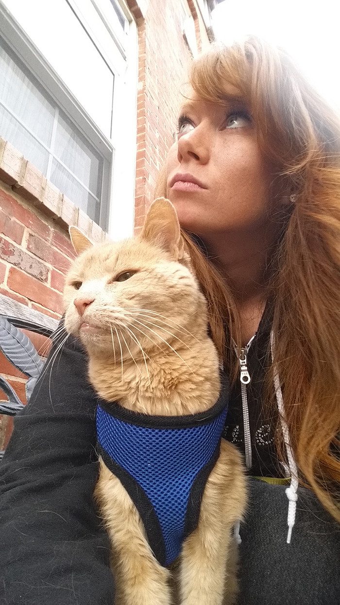 Девушка спасла 21-летнего кота, которого бросил хозяин
