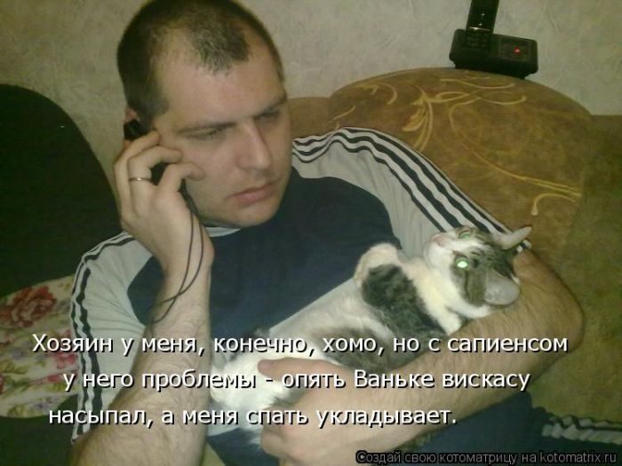 Самые забавные котоматрицы недели