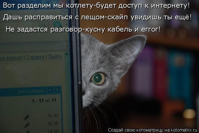 Самые забавные котоматрицы недели