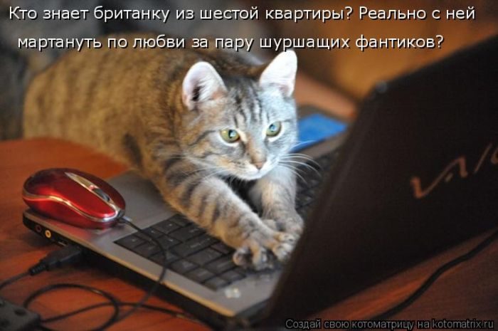 Самые забавные котоматрицы недели