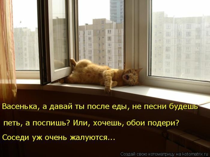 Самые забавные котоматрицы недели