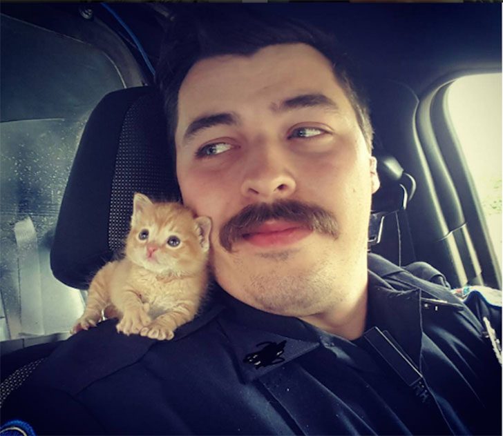 Полицейский из Южной Каролины спас котенка и взял его к себе