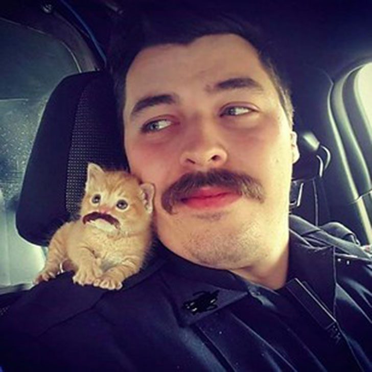 Полицейский из Южной Каролины спас котенка и взял его к себе