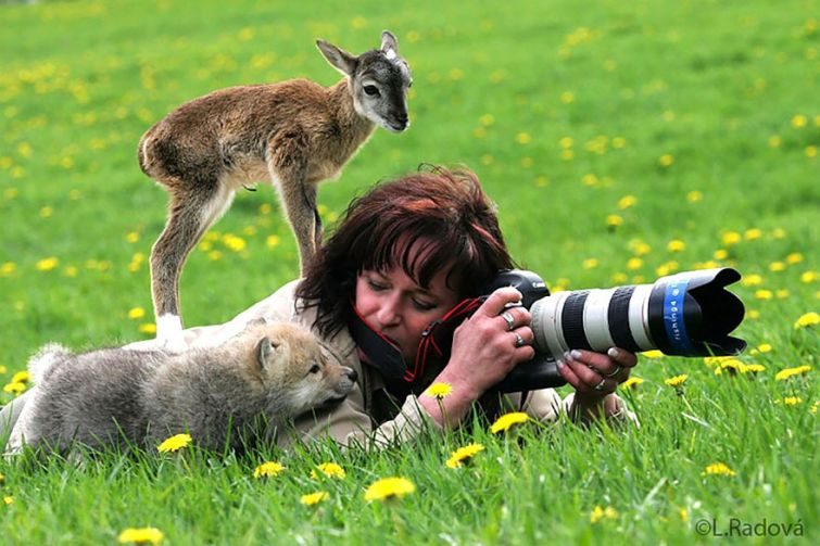 Доказательства того, почему фотограф дикой природы самая лучшая работа в мире