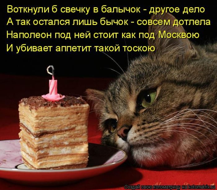 Невероятно милые котоматрицы