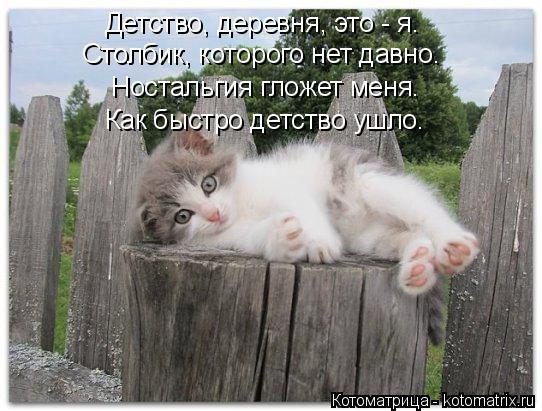 Самые крутые котоматрицы