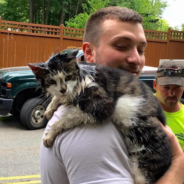 Пожарные спасли кошку, которая застряла в сливе