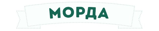 Иллюстрации, которые помогут разобраться, что хочет сообщить ваша собака