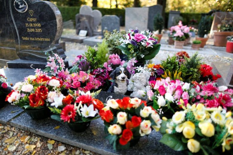 Кладбище для собак во Франции