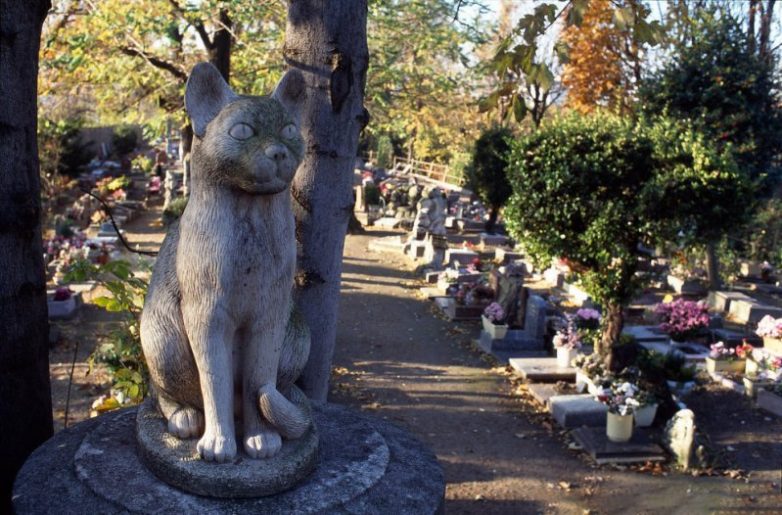 Кладбище для собак во Франции