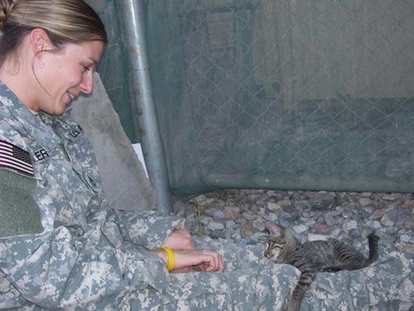 Девушка отказалась покидать Афганистан без больной кошки