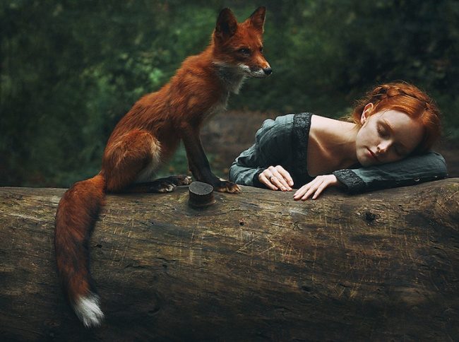Волшебные портреты рыжеволосых красавиц и диких лис в лесу