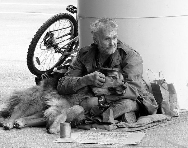 Сильные фотографии бездомных и их собак