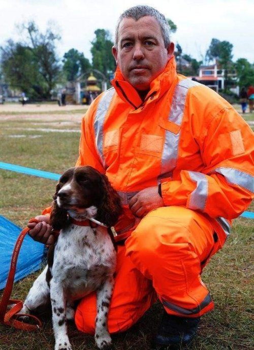Удивительные факты про поисково-спасательных собак