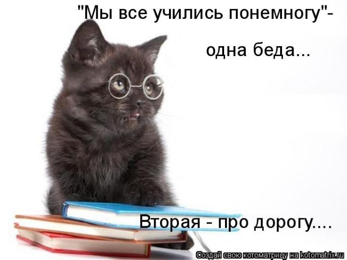 Лучшие котоматрицы за прошедшую неделю