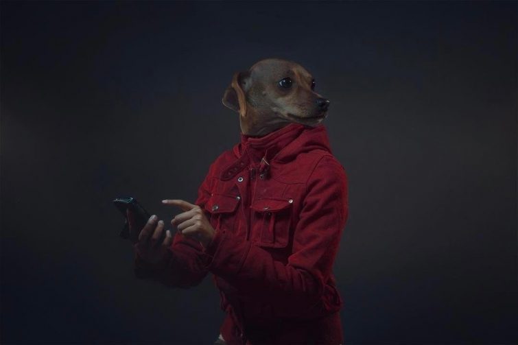 Фотограф объединил собак и их владельцев в одно целое