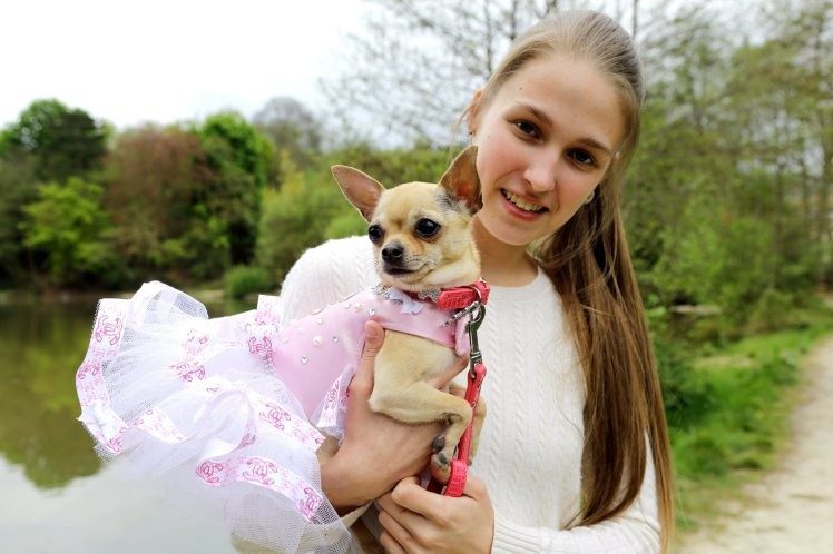 Девушка, которая тратит тысячи долларов на наряды для своей собаки