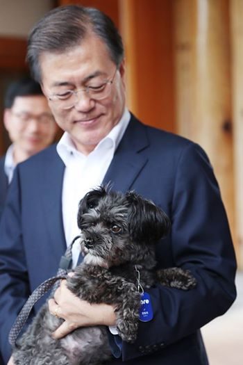 Новый президент Южной Кореи приютил собаку