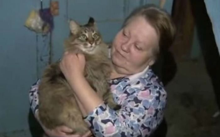 Кошка, которая нашла ребенка, брошенного матерью у мусоропровода