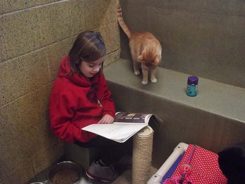 Кошки помогают детям развить навыки чтения